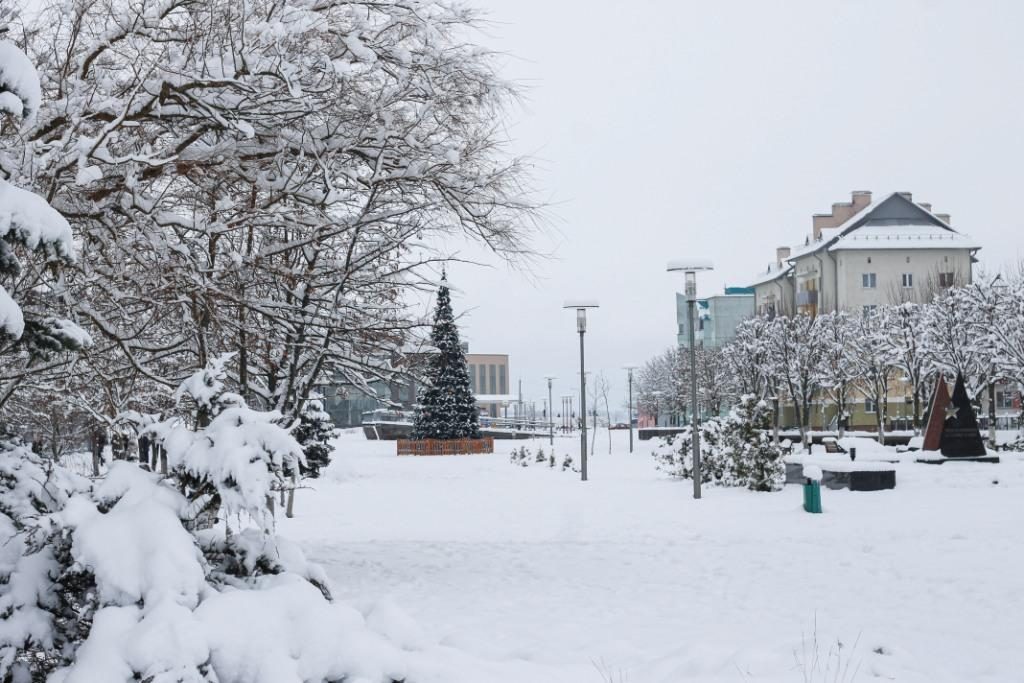 Посмотрите, как выглядит Узда в снегу: большой фоторепортаж