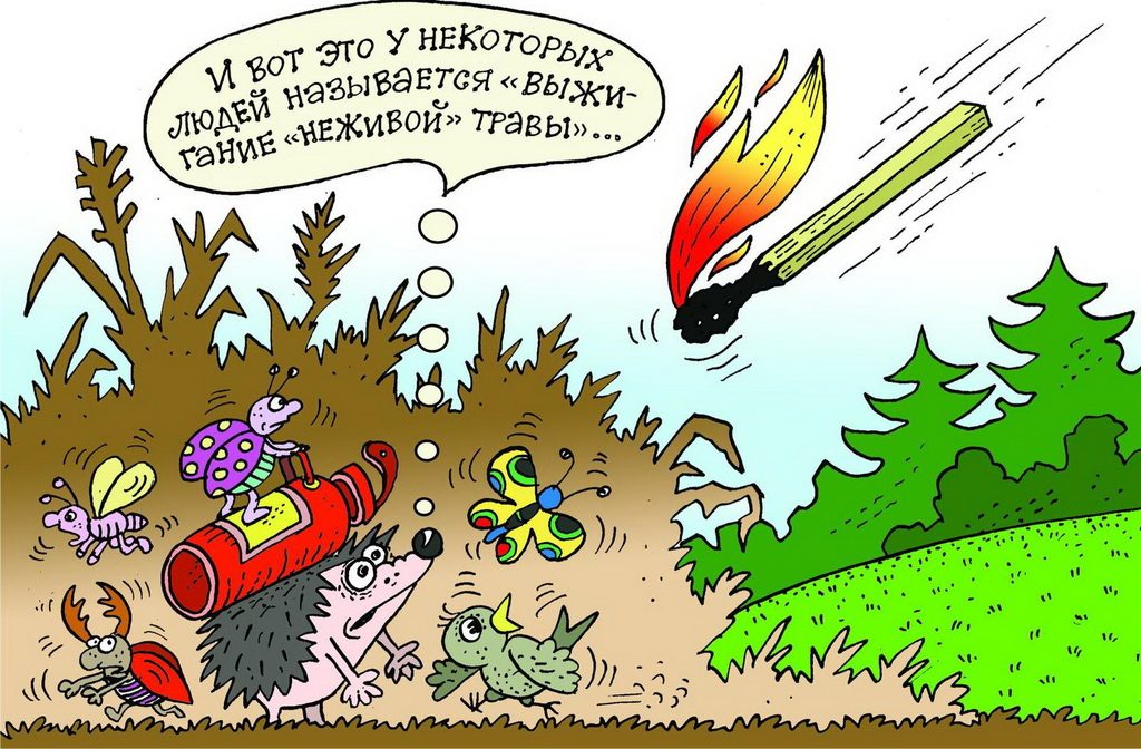 Как «НЕЛЬЗЯ» от МЧС помогут правильно провести выходной в лесу и пожарить шашлык без пожара