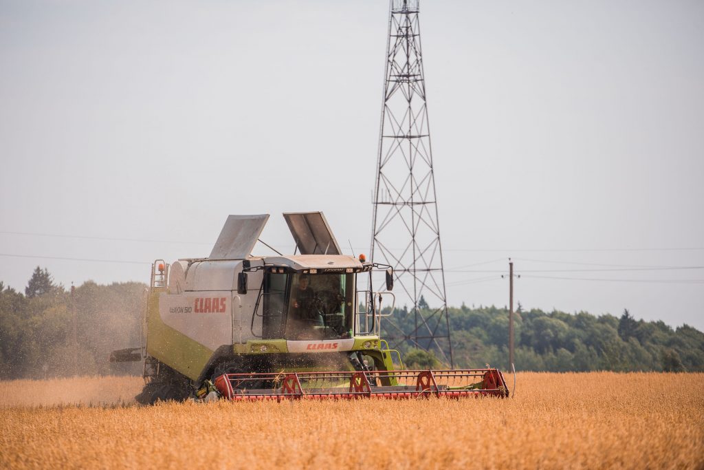 Есть у кого учиться. Кто помогает молодым аграриям на рабочих местах