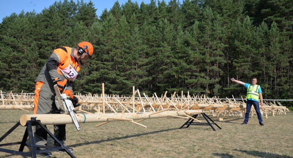 ПОД НОМЕРОМ 12. ГДЕ ВЫСТУПАЛА КОМАНДА ЛЕСХОЗА?