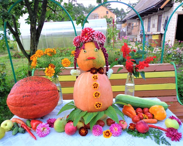 Подведены итоги районного смотра-конкурса «Ветеранское подворье»