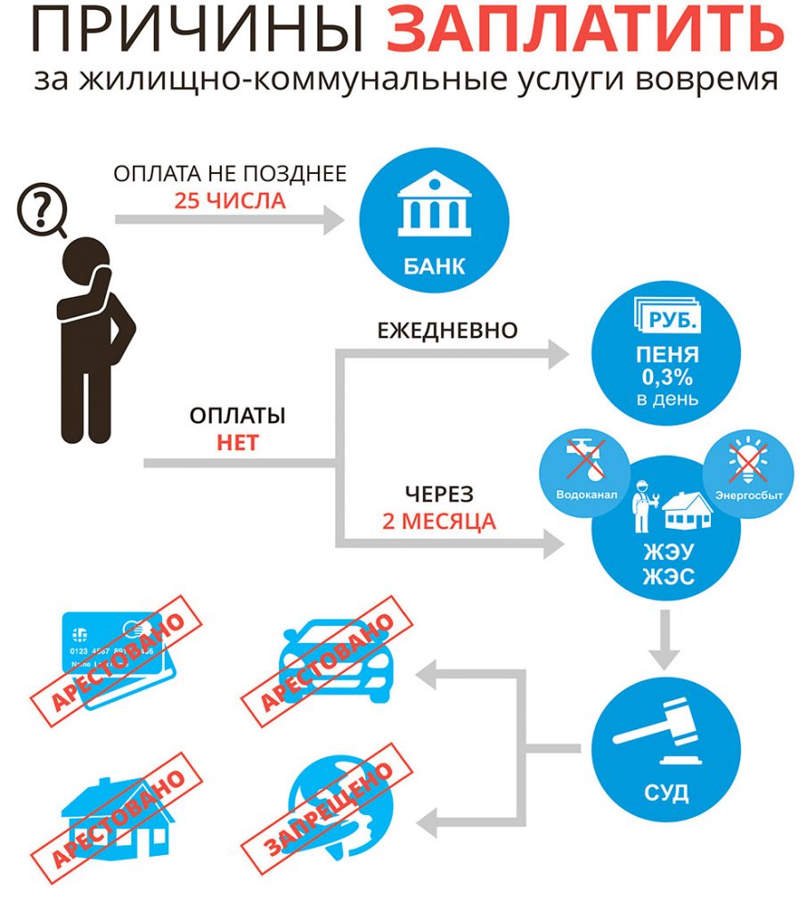 Что скрывается за цифрами в наших жировках? - Чырвоная Зорка