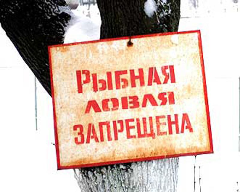Когда, где и как нельзя рыбачить в Узденском районе