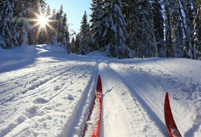 Лыжня зовёт, или Зимне-спортивное настроение сотрудников лесхоза