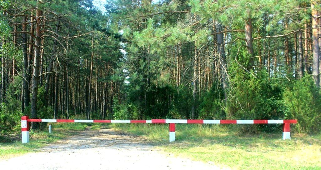 Не ходите, люди, в лес гулять! На территории района введено ограничение на посещение лесов