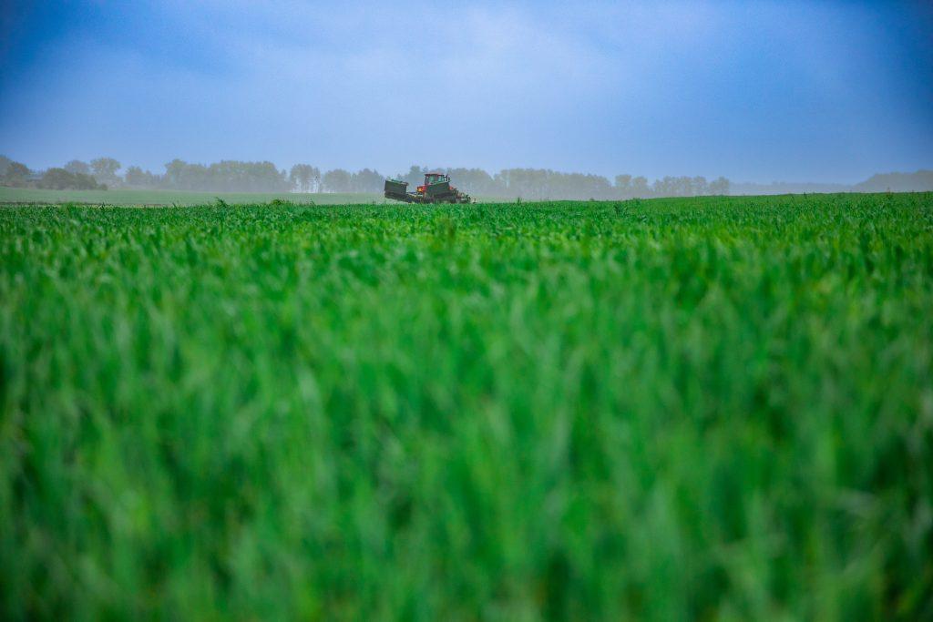 На первый укос большой спрос. В Литвянах-Агро началась заготовка кормов