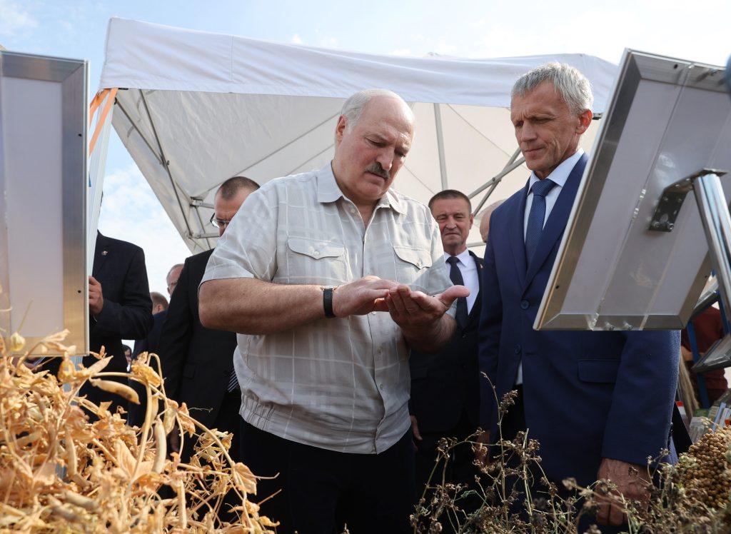 Президент посетил селекционно-семеноводческий комплекс в Смолевичском районе