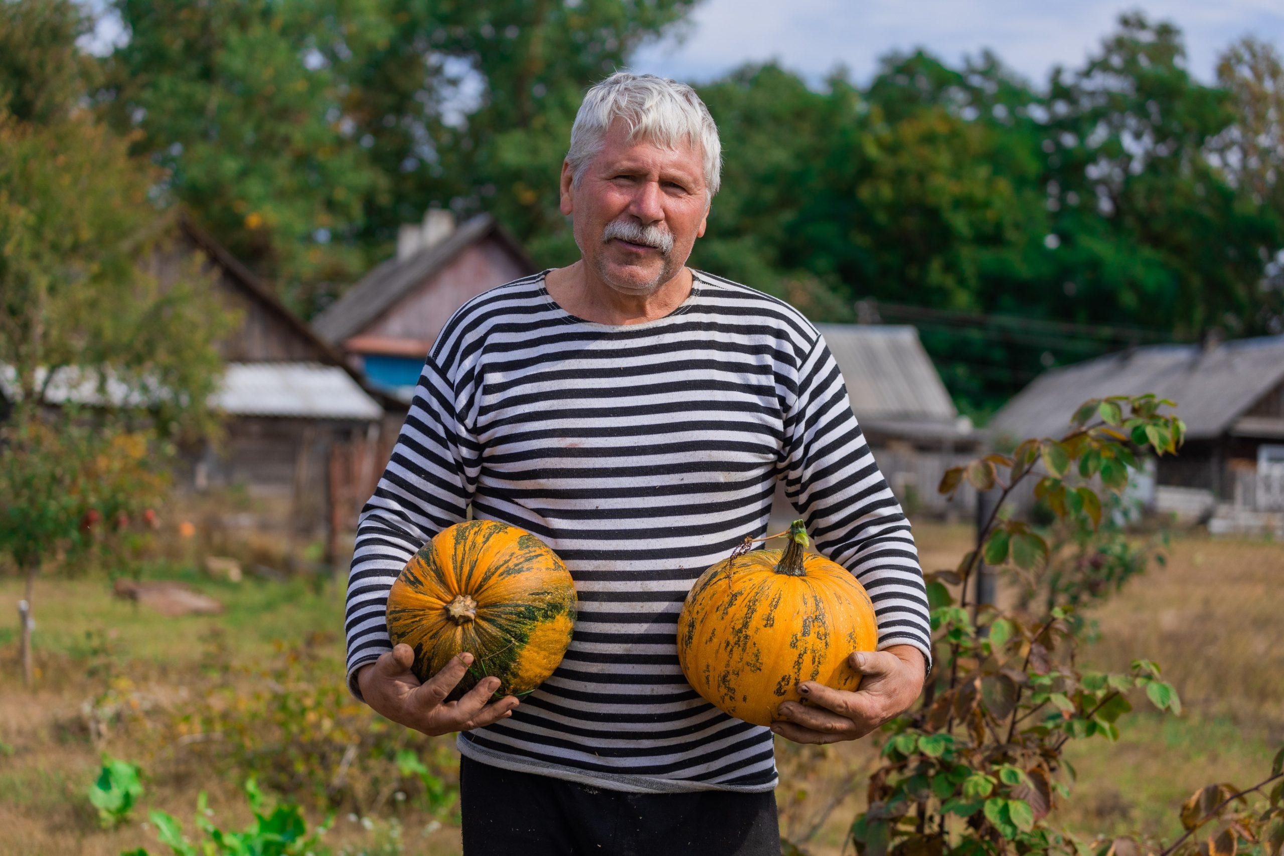 Тыква конфетка партнер