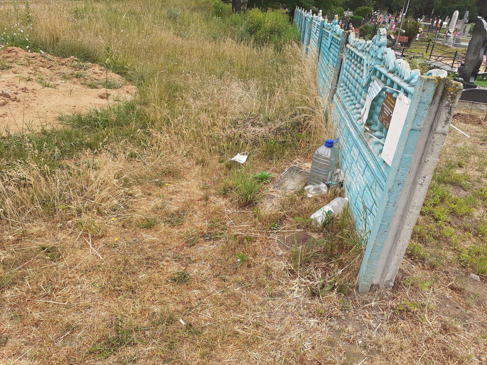 кладбищенский забор раст фото 3