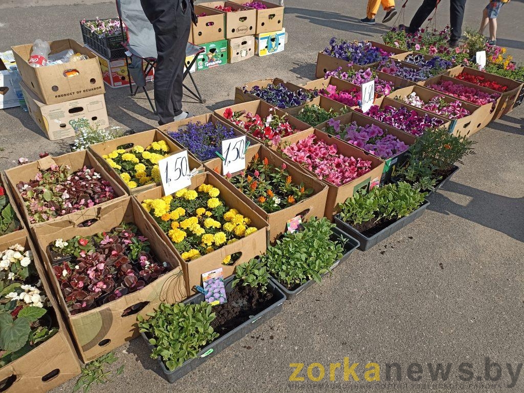 На городском рынке предлагают богатый ассортимент овощей, фруктов и цветов