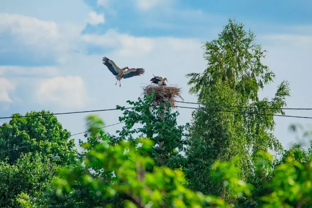 Фото дня. В моменте