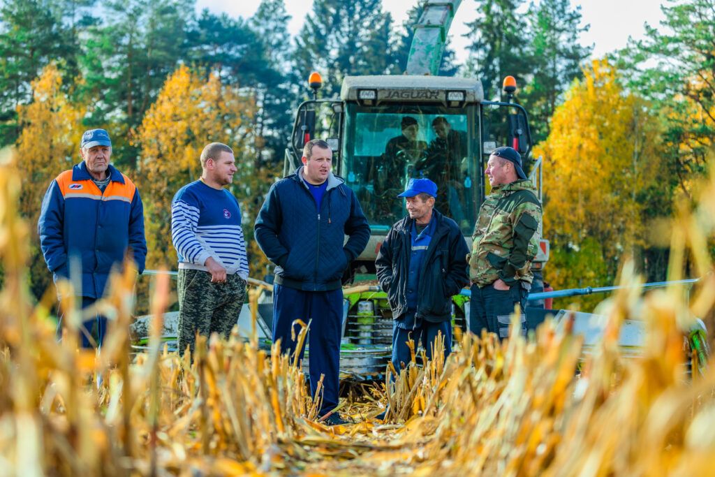 Узнали, чем заняты в эти дни хлеборобы акционерного общества «АСБ-Агро Кухтичи”