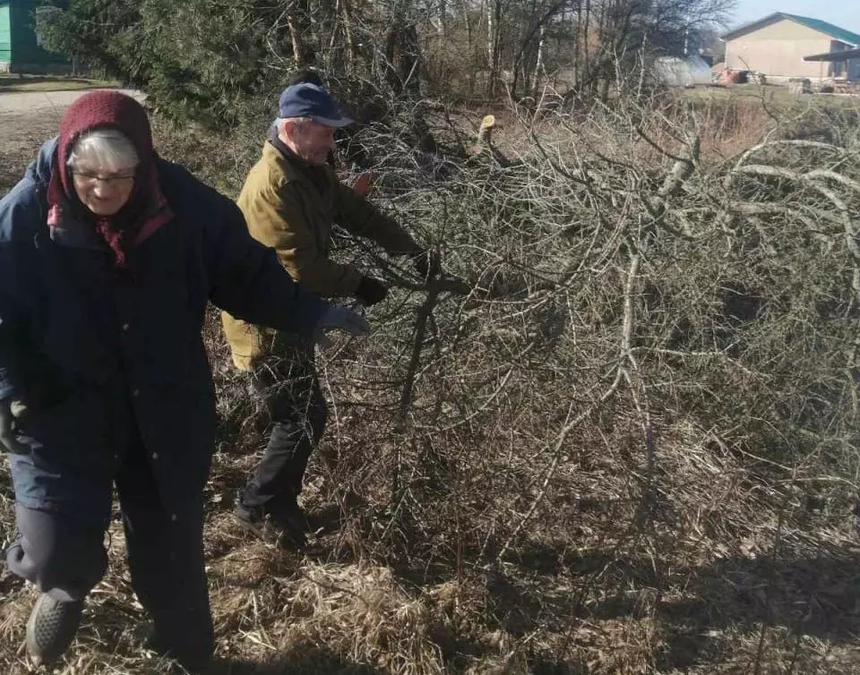 наведение порядка в Хотлянах