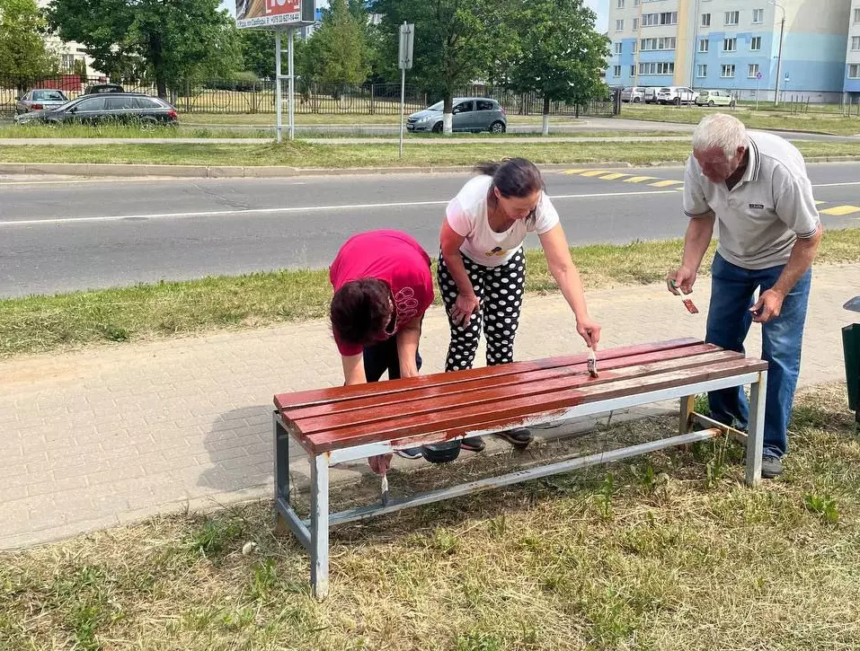 Дебоширы и хулиганы покрасили скамейки на улицах Узды - Чырвоная Зорка