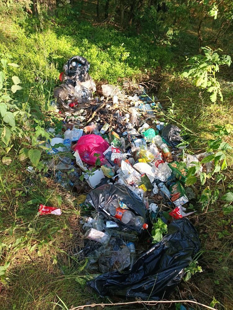 Витамин Д: налегаем на профилактическую дозу - Чырвоная Зорка