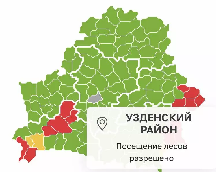 карта запретов посещения лесов