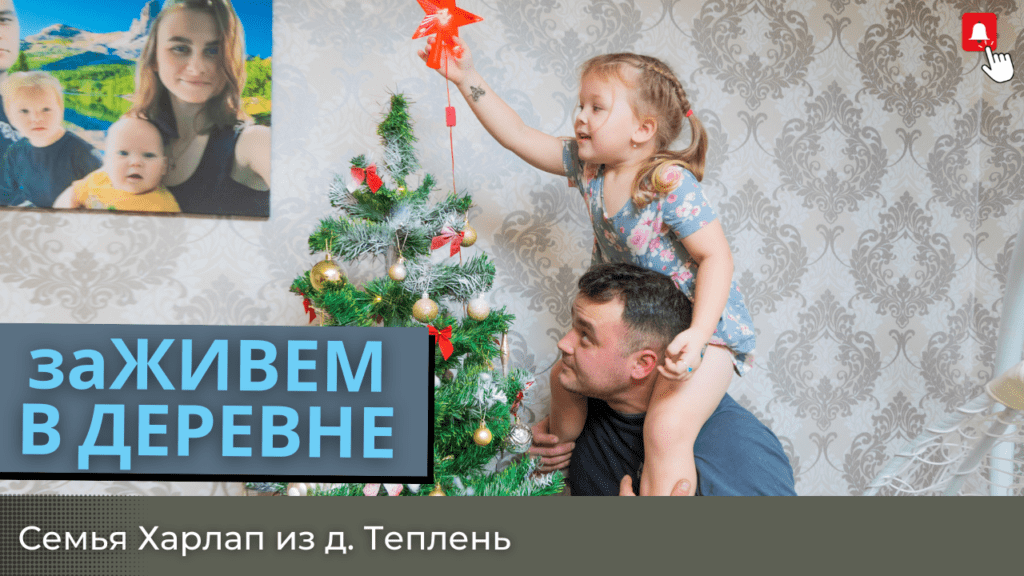 заживет в деревне