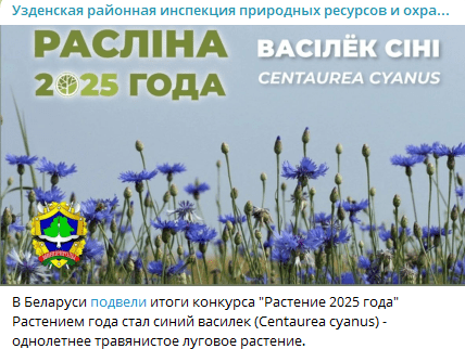 пост