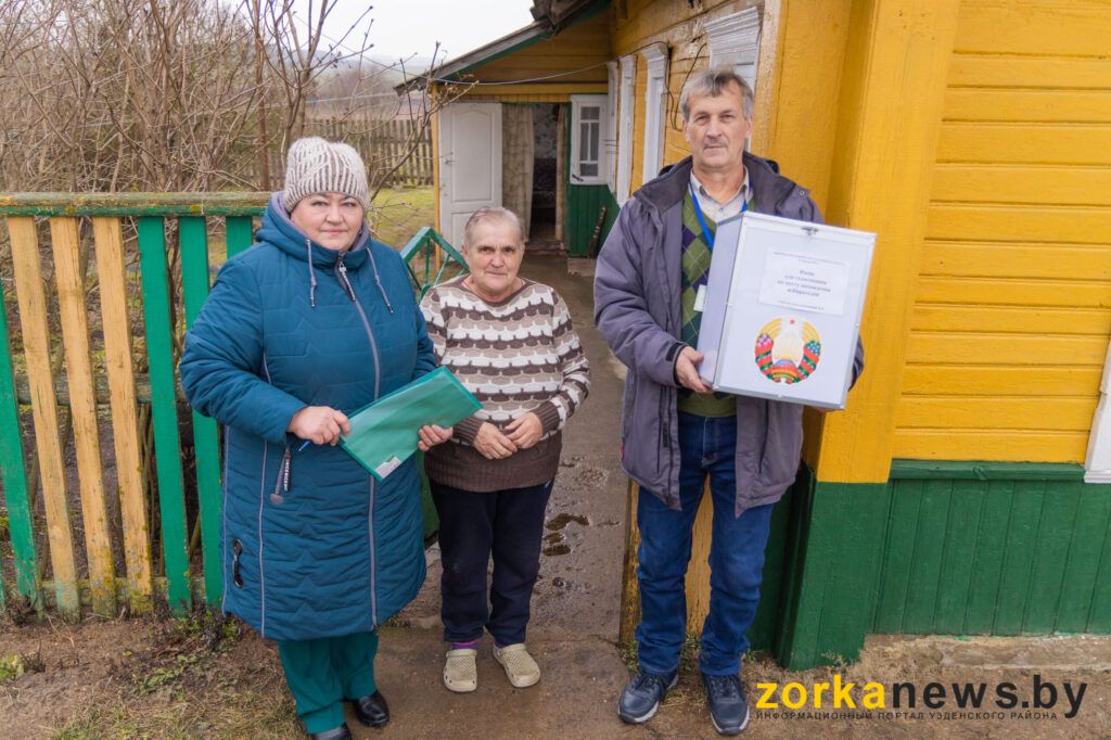 голосование на дому