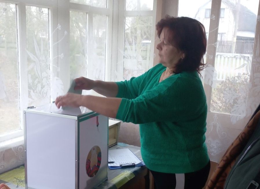 голосование на дому