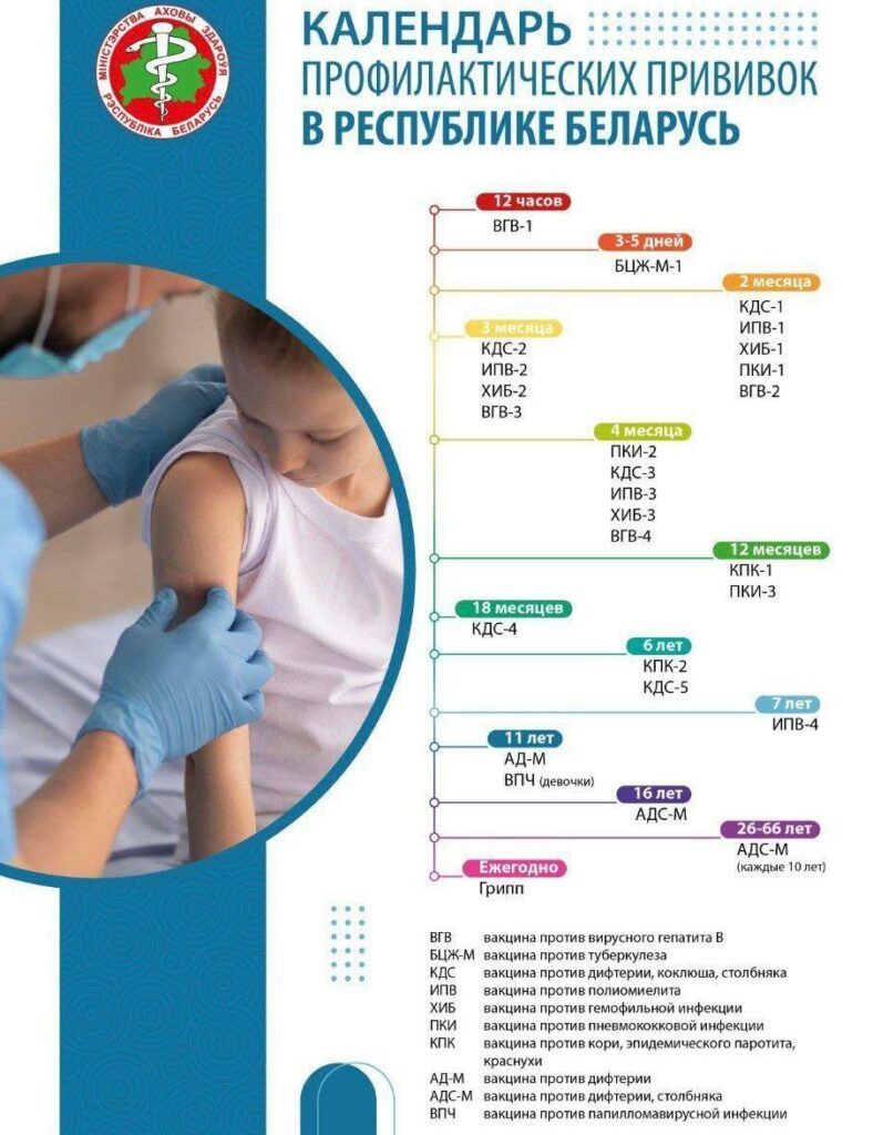 календарь прививок