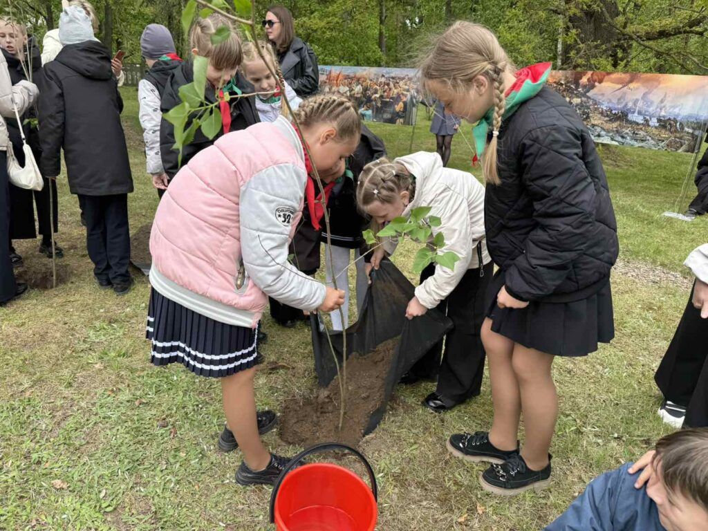 девочки садят дерево