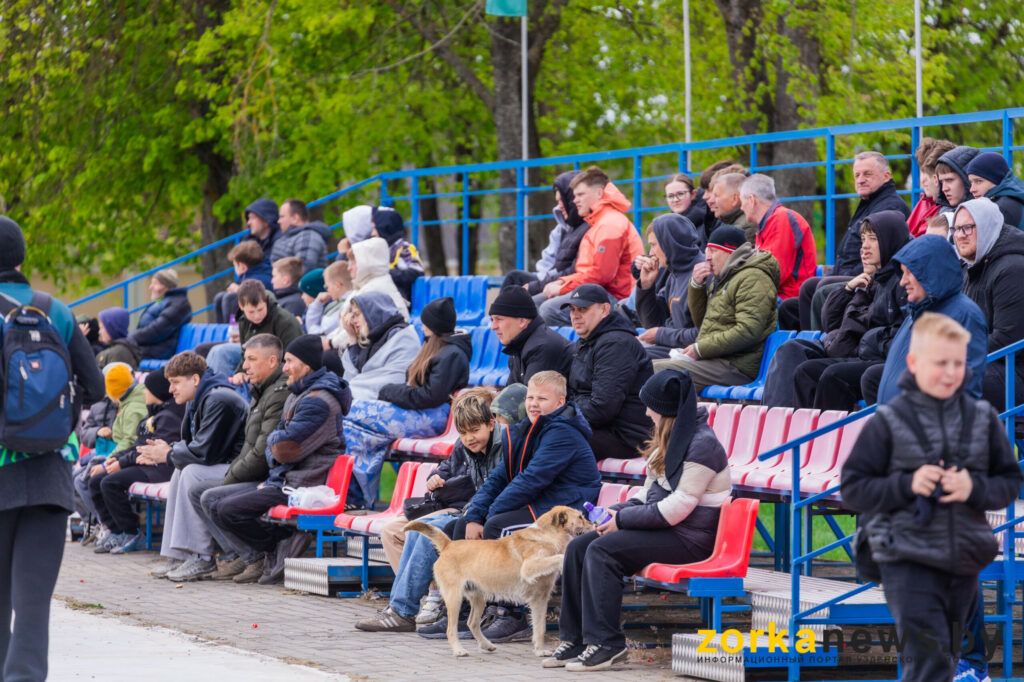 трибуны