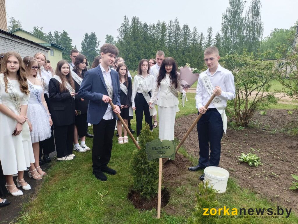 посадка дерева