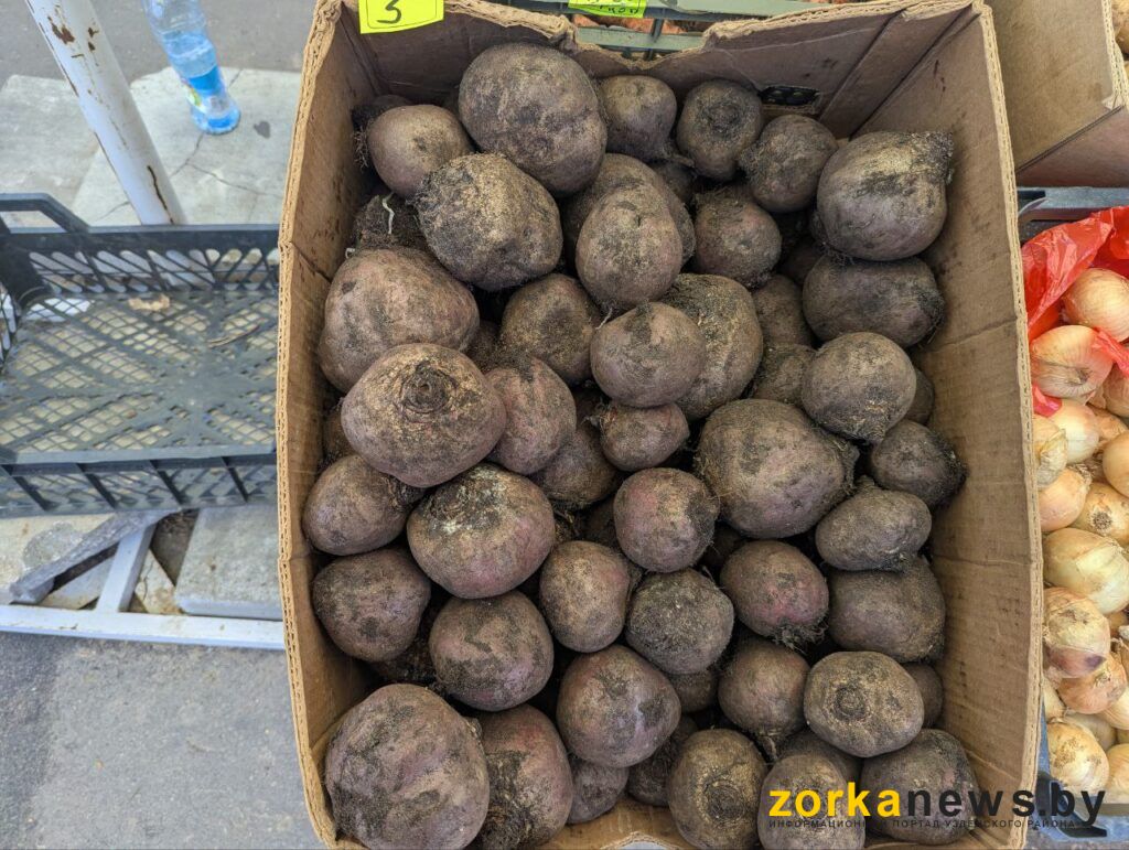 свекла