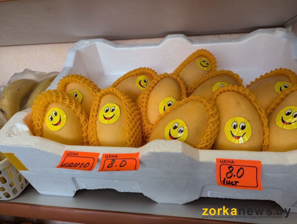 манго