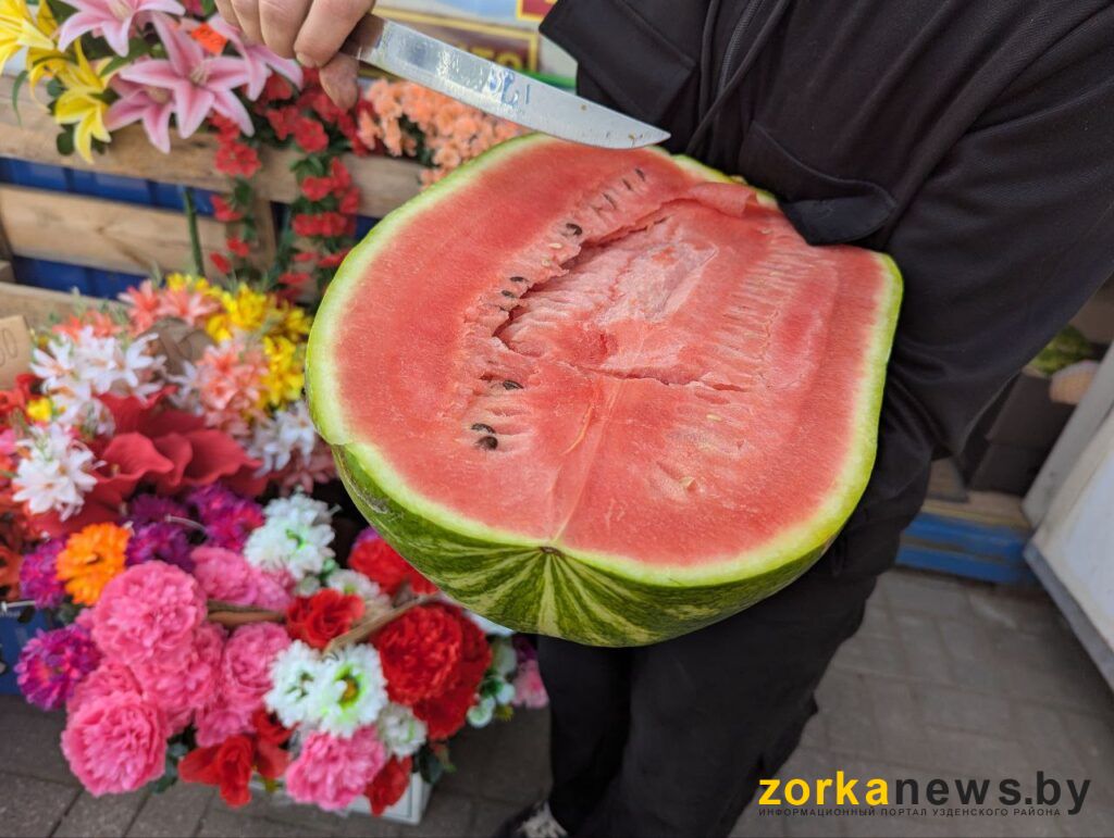 арбуз