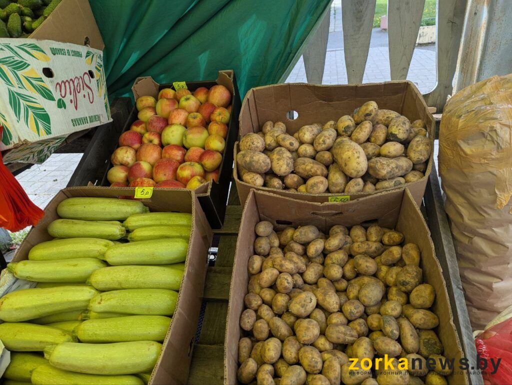 картофель
