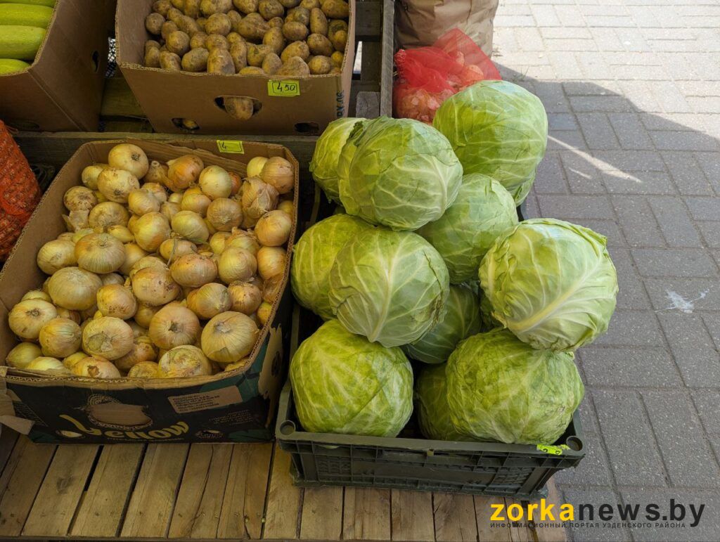 капуста