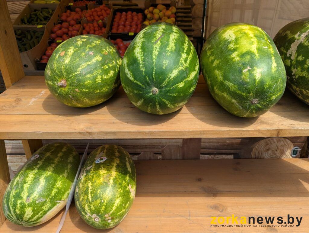 ярбузы