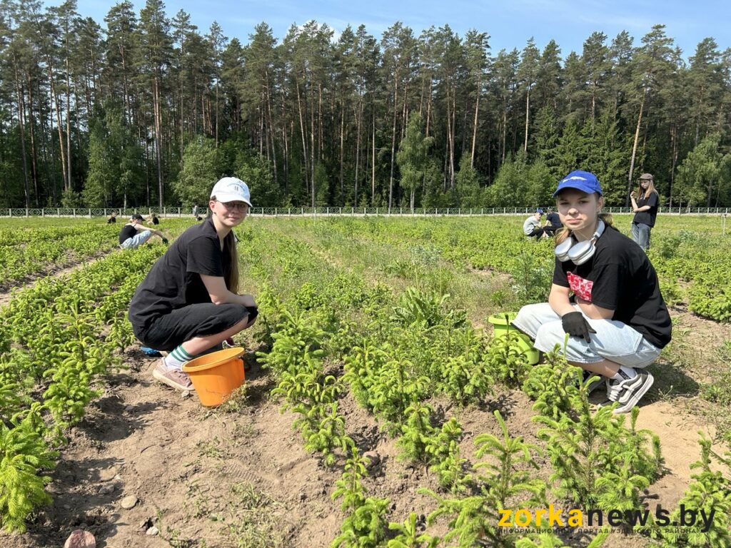 Лиза и Катя