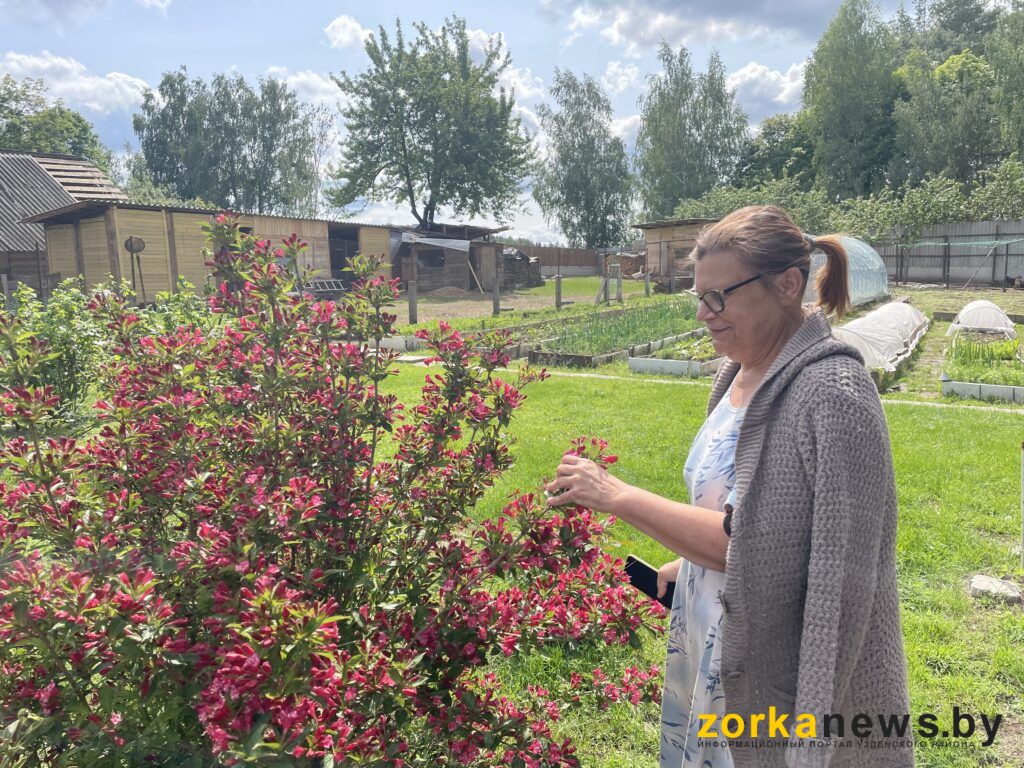 пенсионерка2