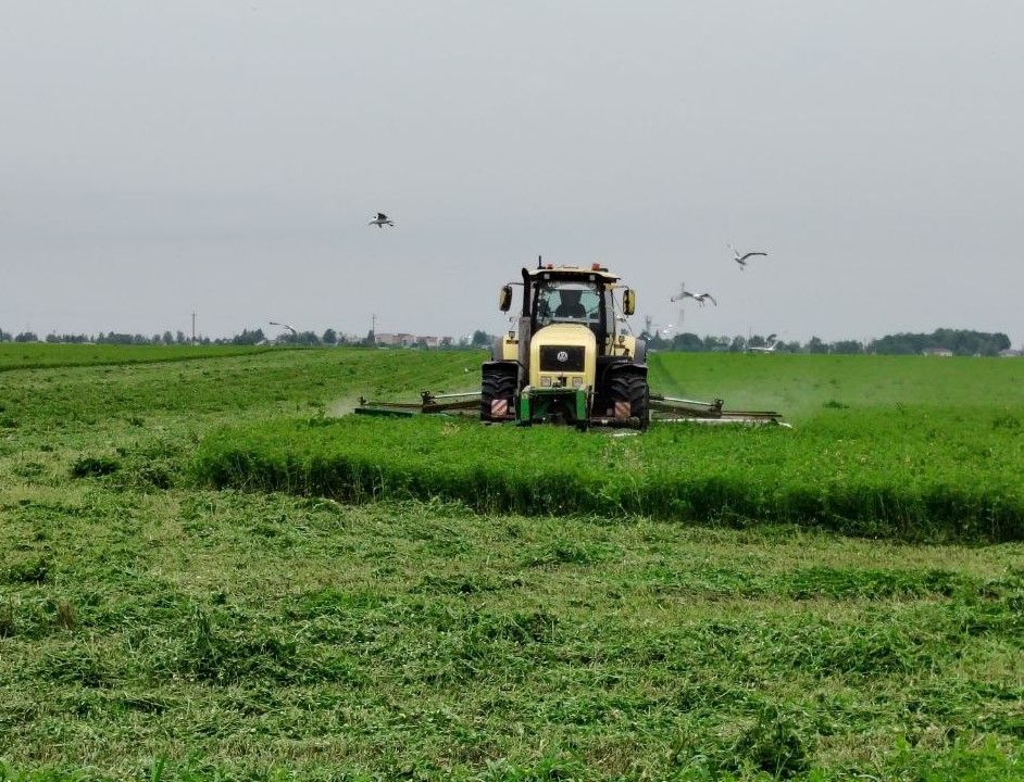 заготовка кормов