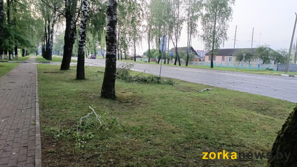 дорожка