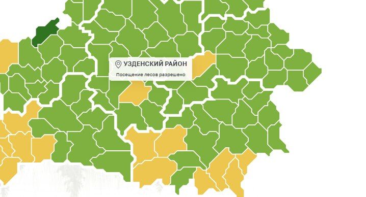 В Узденском районе леса снова открыты для посещения