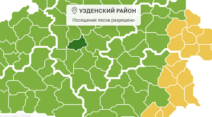 Ограничения на посещение лесов в Минской области сняты. В том числе в Узденском районе