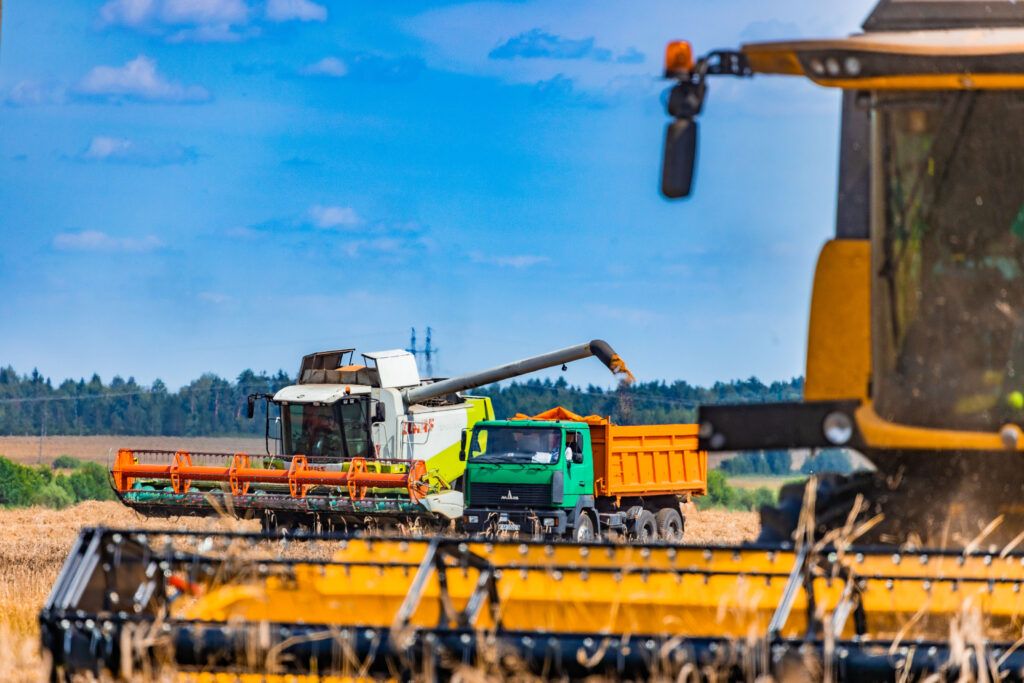 Уборочная-2025. К уборке озимого ячменя приступили в Узденском районе