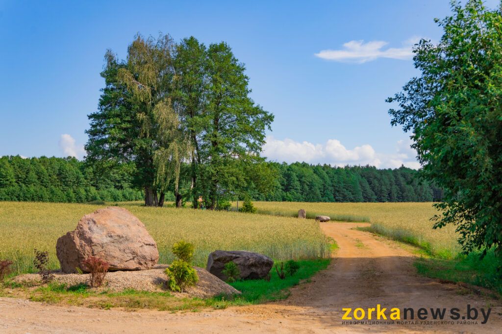 дорога к роднику
