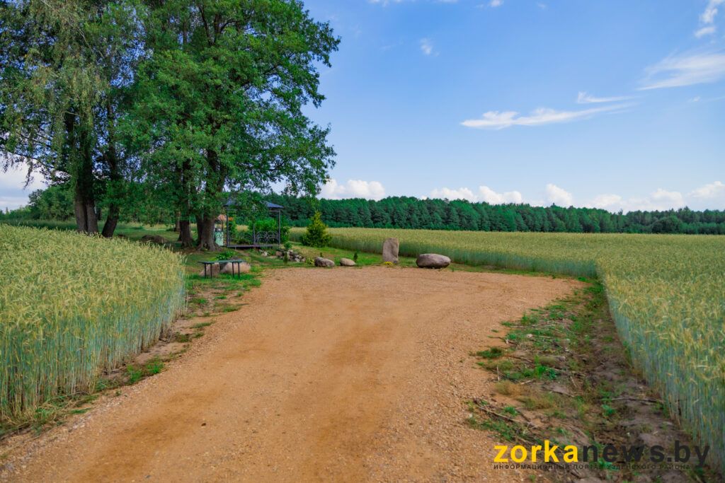 дорога
