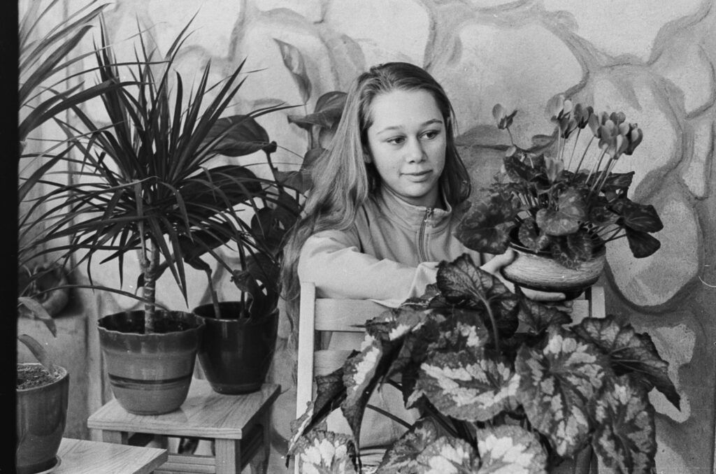 Ретрофото. Оранжерея