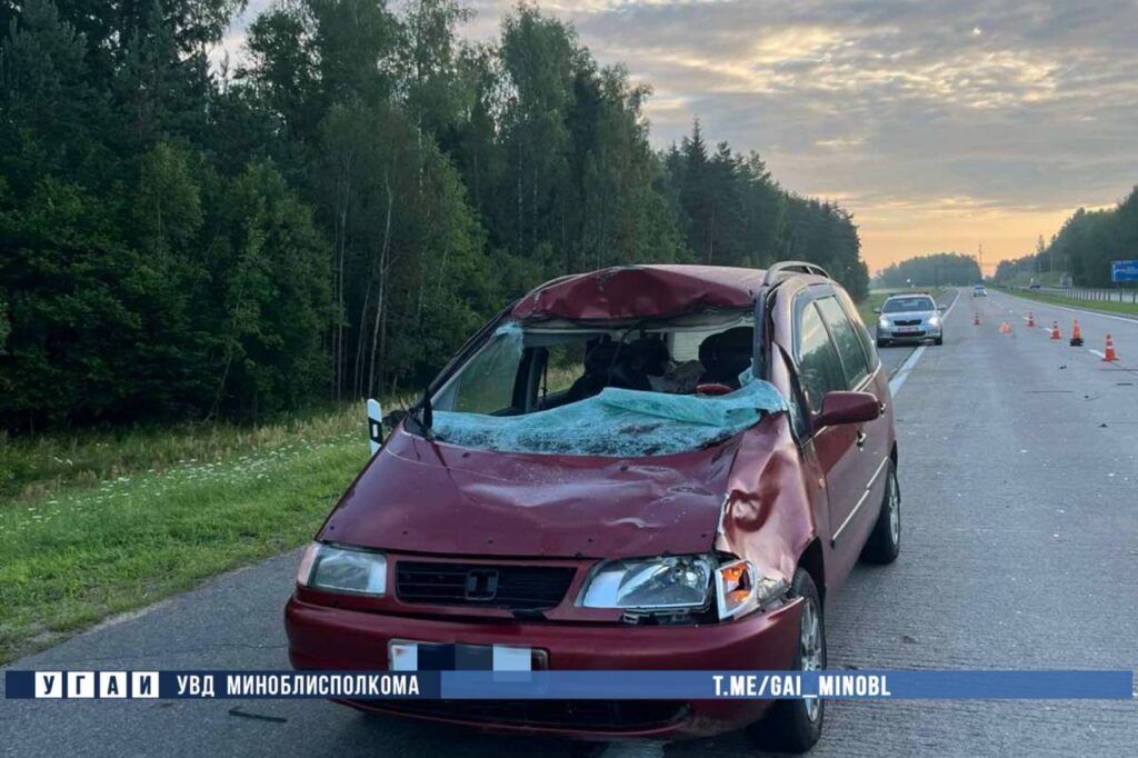 ДТП с лосем в Узденском районе