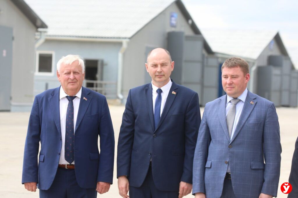 Губернатор