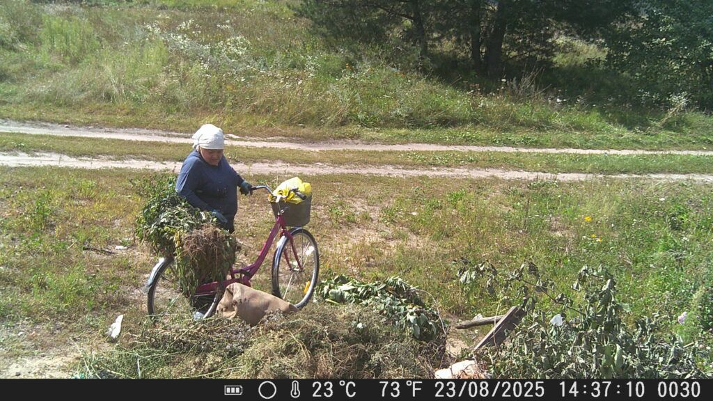В Узде сработали фотоловушки. Кто выбрасывал мусор там, где нельзя