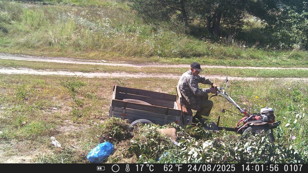 снимок фотоловушки