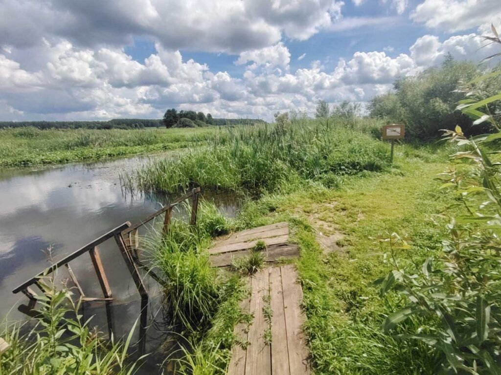 мостик