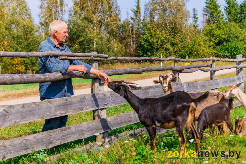 козы